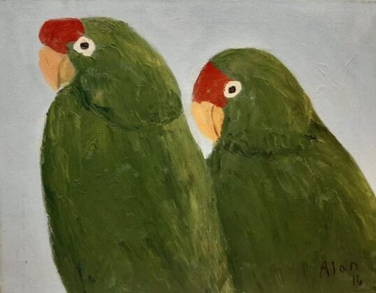 Pericos