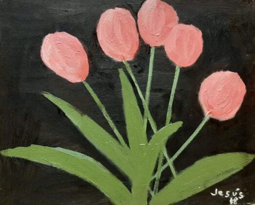 Tulipanes rosas
