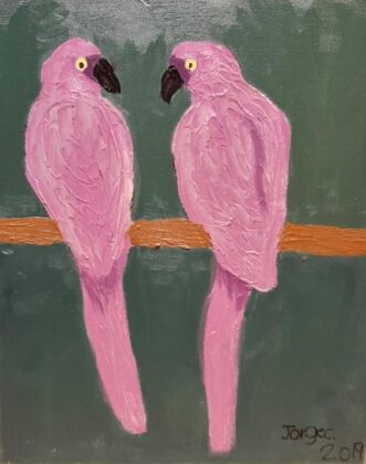 Aves rosas